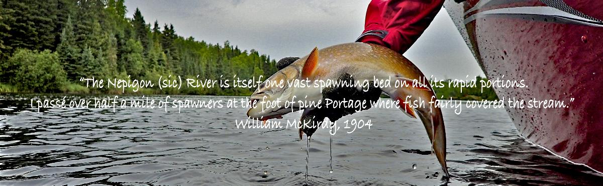 Mckurdyquotepic
