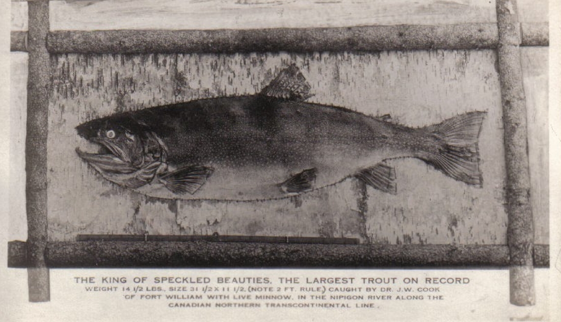 WorldRecordmount