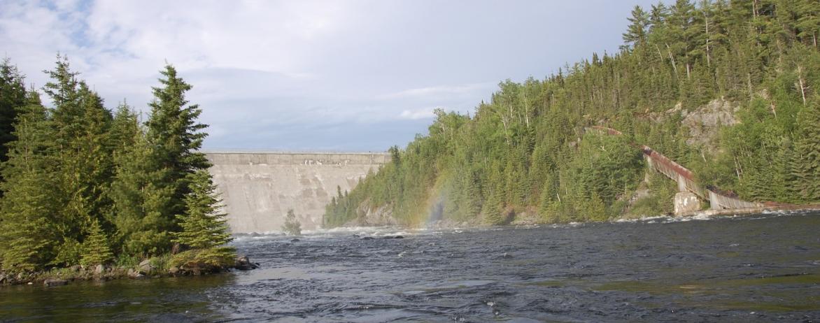 logchute